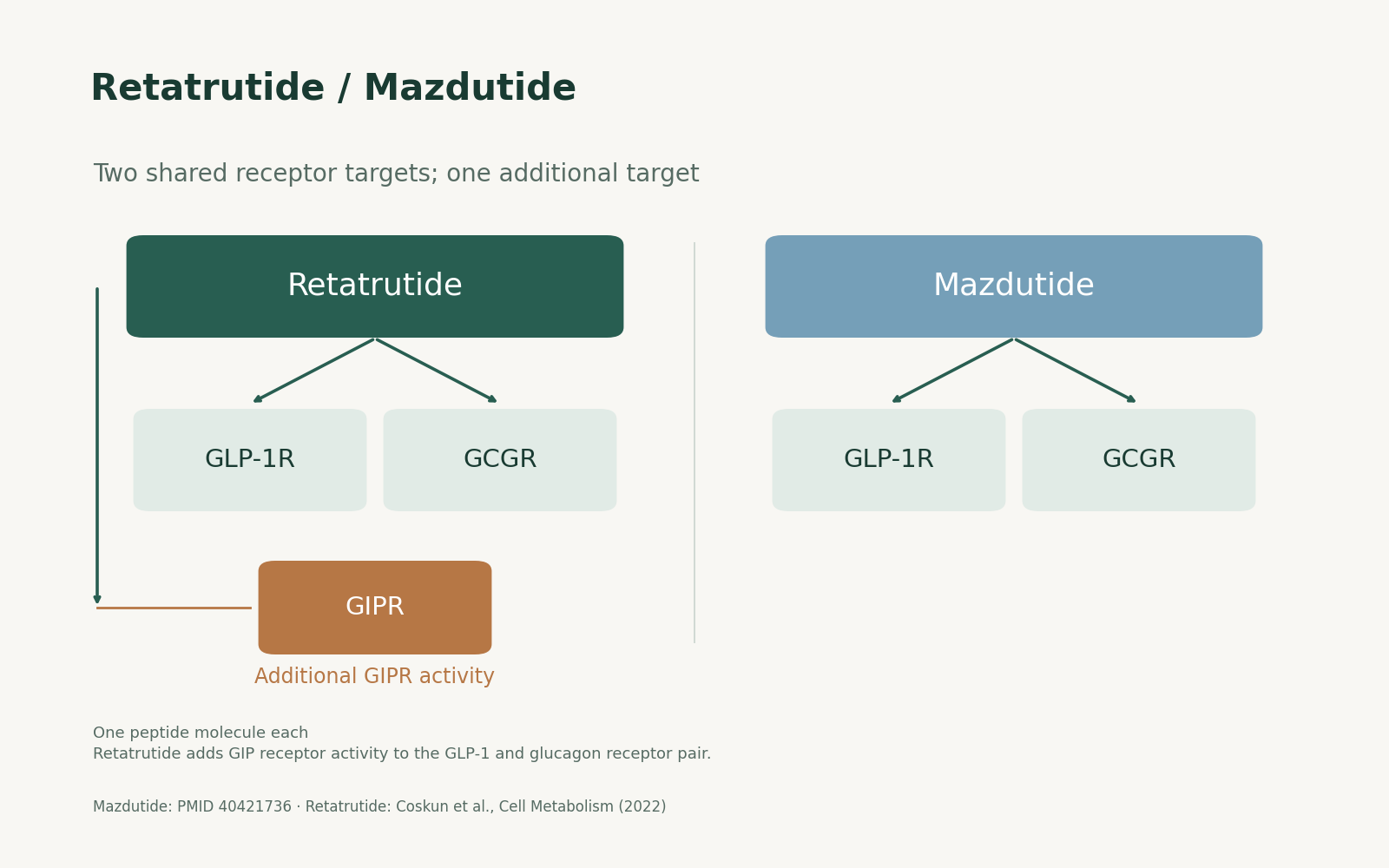 Retatrutide / Mazdutide. Two shared receptor targets; one additional target. Additional GIPR activity; One peptide molecule each.