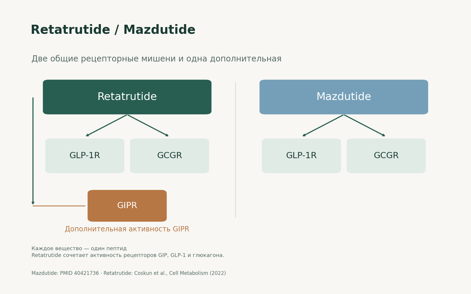Retatrutide / Mazdutide. Две общие рецепторные мишени и одна дополнительная. Дополнительная активность GIPR; Каждое вещество — один пептид.