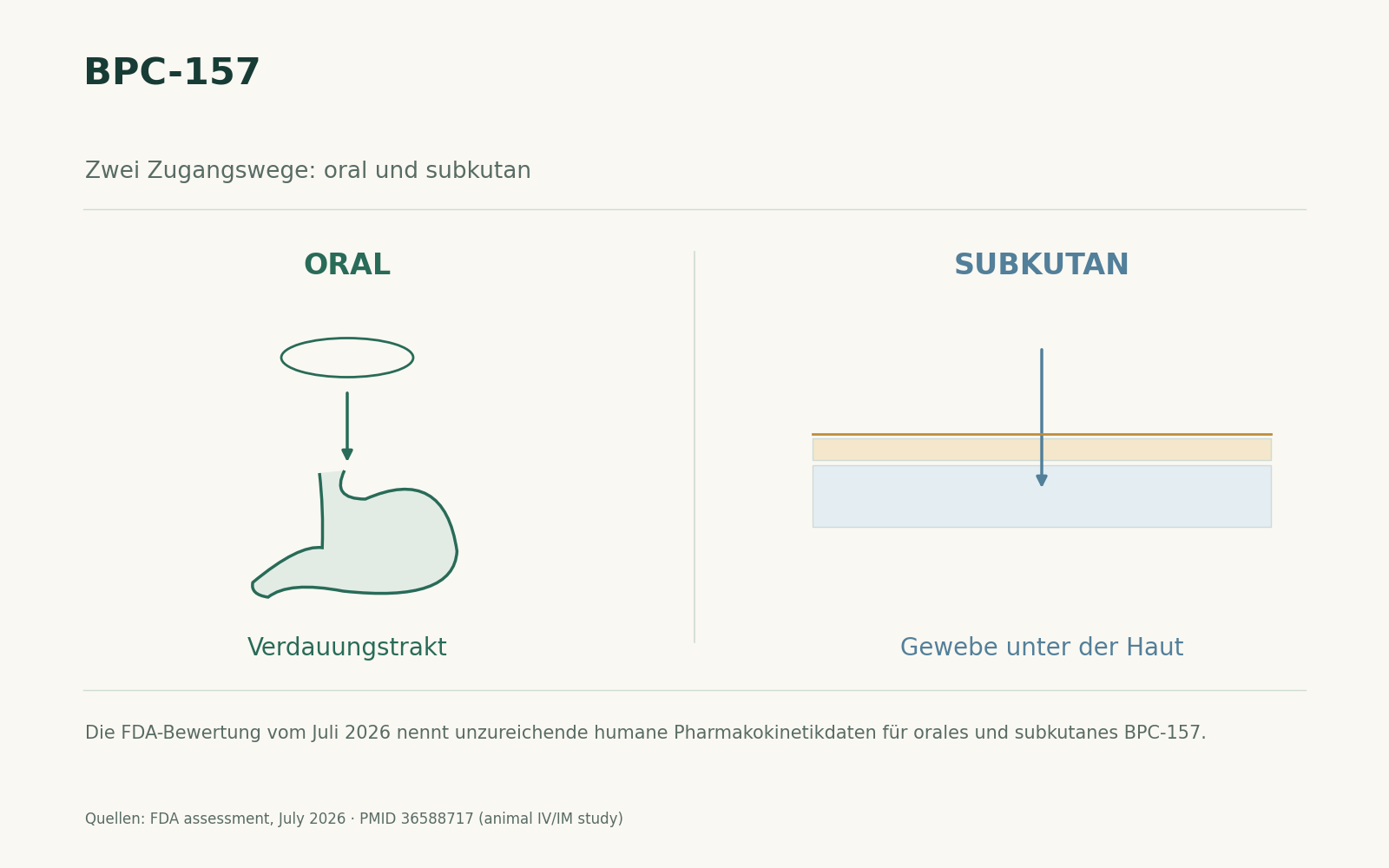 Ein Wegeschema vergleicht Schlucken in den Verdauungstrakt mit dem Eintritt ins Gewebe unter der Haut; ohne BPC-157-Behälter oder Resorptionsprozent.