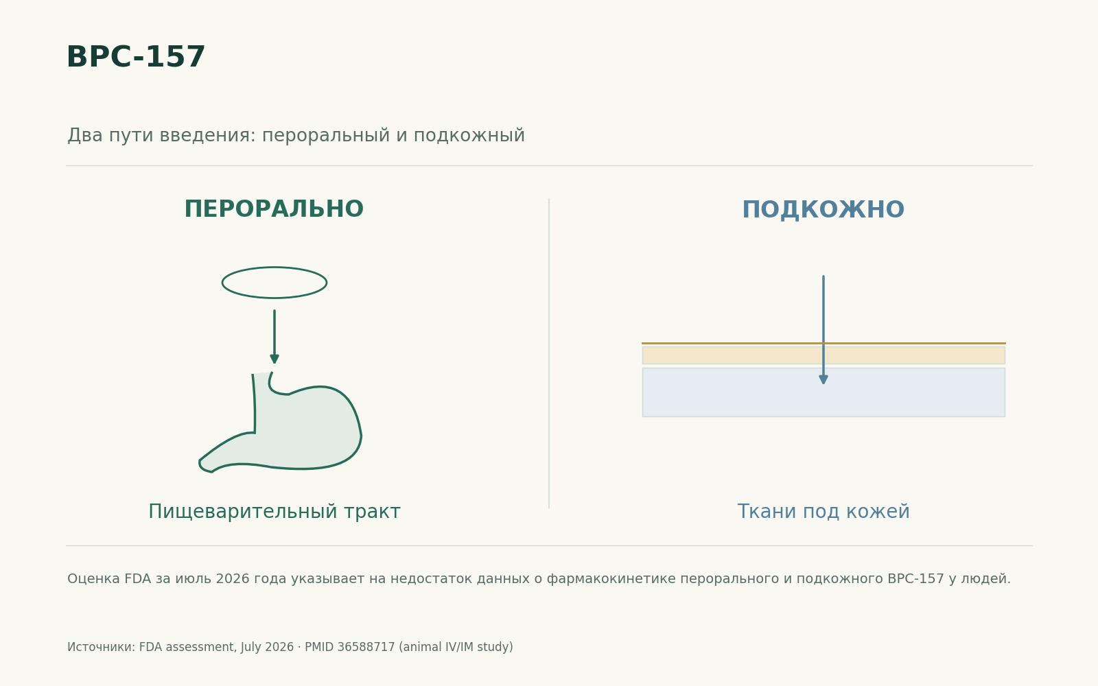 Схема сопоставляет поступление через рот в пищеварительный тракт и в ткани под кожей; ёмкости BPC-157 и проценты всасывания не показаны.