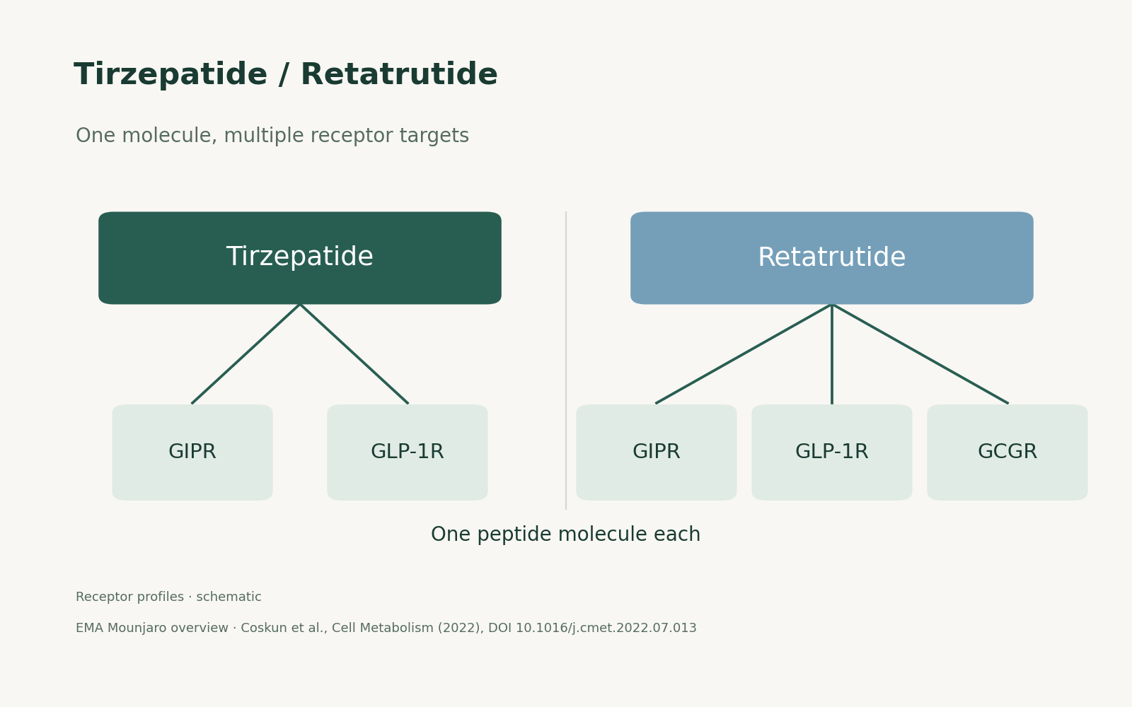 Receptor-profile diagram: tirzepatide connects to GIPR and GLP-1R; retatrutide connects to GIPR, GLP-1R and GCGR.